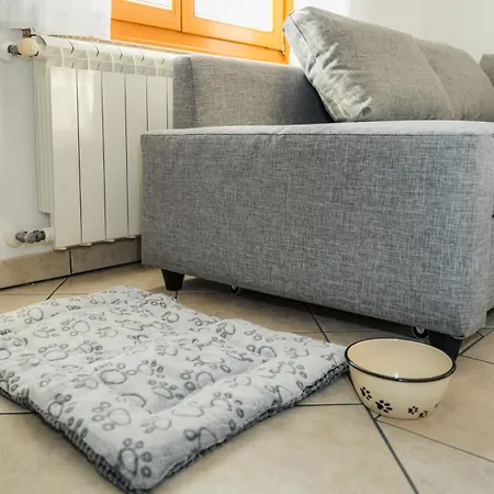 Spacious - With Terrace & Grill Senozece