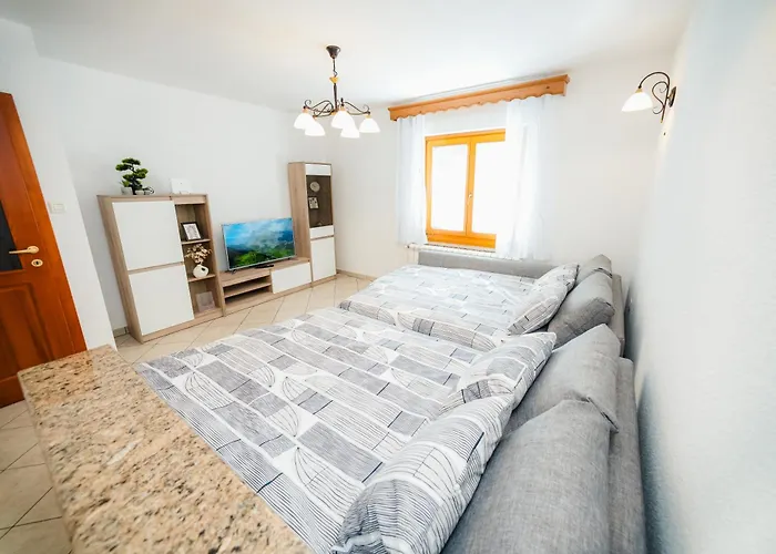 Spacious - With Terrace & Grill Apartma Senozece