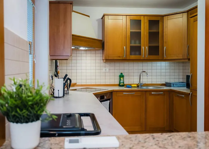 Apartma Spacious - With Terrace & Grill *