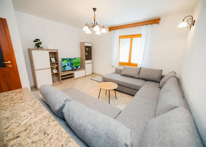 Spacious - With Terrace & Grill Senozece