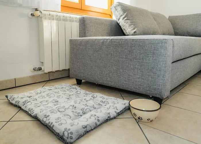 Spacious - With Terrace & Grill Senozece